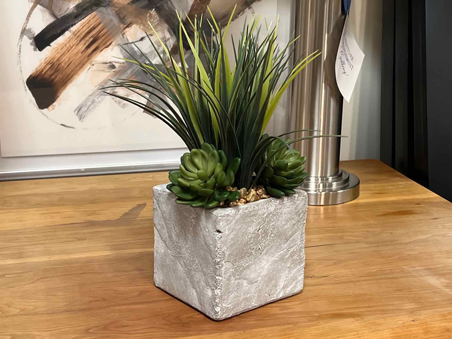 succulent cube Grass & Succulents in Concrete Cube with Pebbles – Furniture Consignment  Gallery