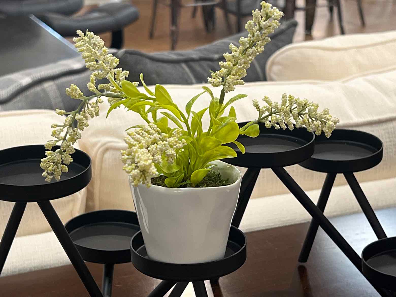 succulent side table Tall Succulent in White Pot I – Furniture Consignment Gallery