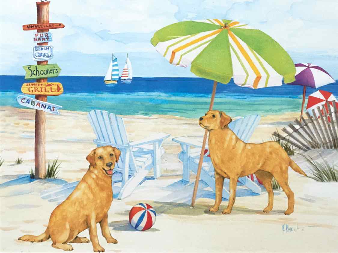 'Grayton Beach Dog II' Watercolor Print Double Matted In Driftwood Frame
