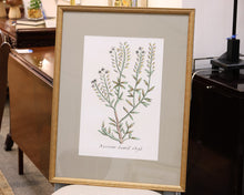 "Botanical Plants III" Premium Matted Print in Distressed Gold Frame