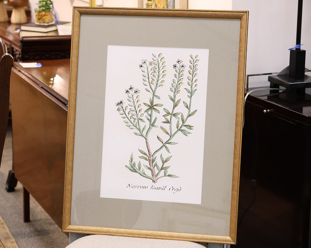 "Botanical Plants III" Premium Matted Print in Distressed Gold Frame