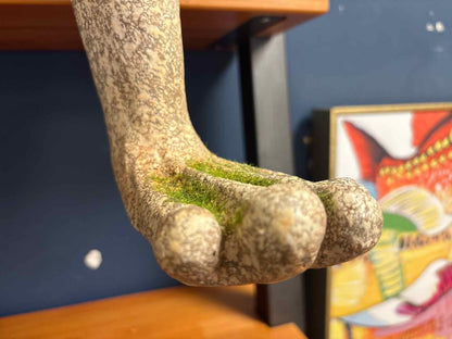 Faux Concrete Smiling Frog