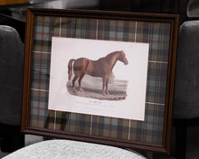 Vintage Horse Bookplate II