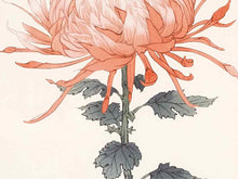 Framed Giclee:  "Asian Coral & White Flowers II"