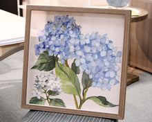 'Hydrangea Study' 1/2