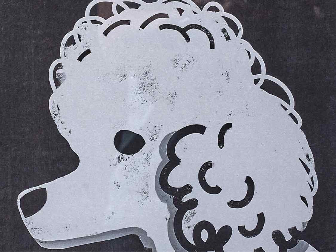 'Oodles Of Poodle' Art Print Double Matt Black Frame