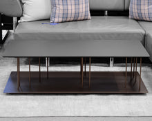 Ligne Roset 'Allegorie' Coffee Table