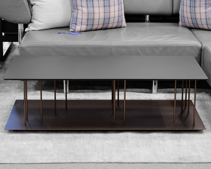 Ligne Roset 'Allegorie' Coffee Table