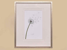 "Dandelion 1" Matted Print in Silver Beaded Frame