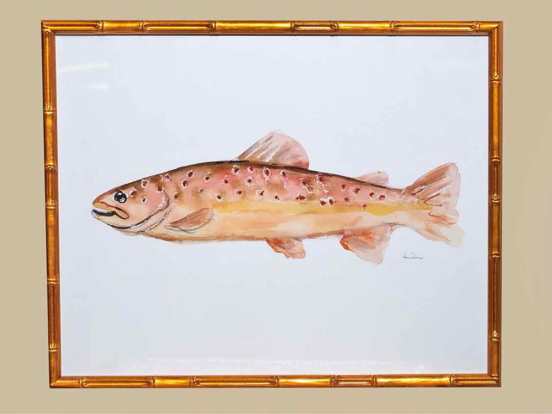 Framed Giclee:  "Colorful Trout II"
