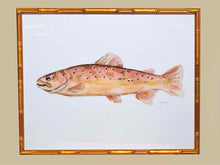 Framed Giclee:  "Colorful Trout II"