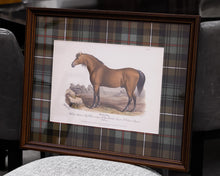 Vintage Horse Bookplate III