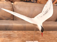 Painted Wooden Flying Sea Tern