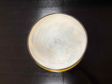Ombre Glass Big Cat Vase
