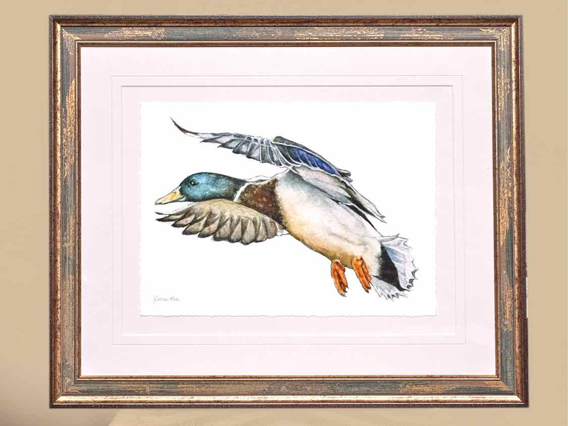 'Mallard 2' Art Print in Patina Frame