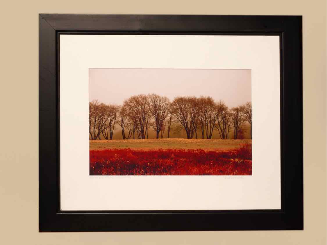 'Old Sandwich Road' Kim Cetrine Photograph Black Finish Frame