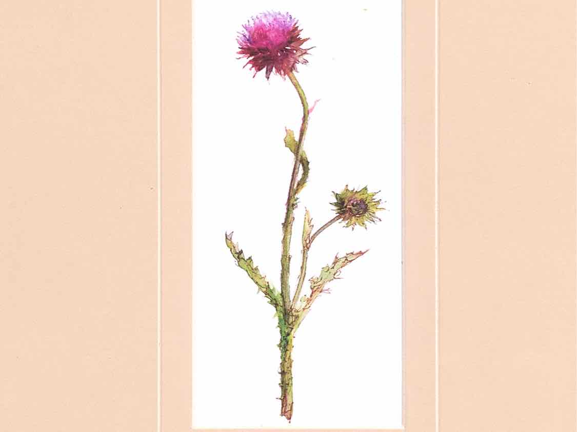 'Pretty Florals I' Framed Print 3/3