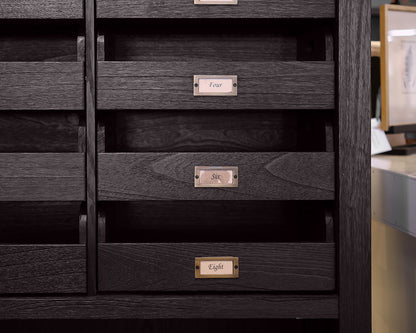 Arhaus Telegraph Office Storage Cabinet in Ebony Finish with Brass Hardware