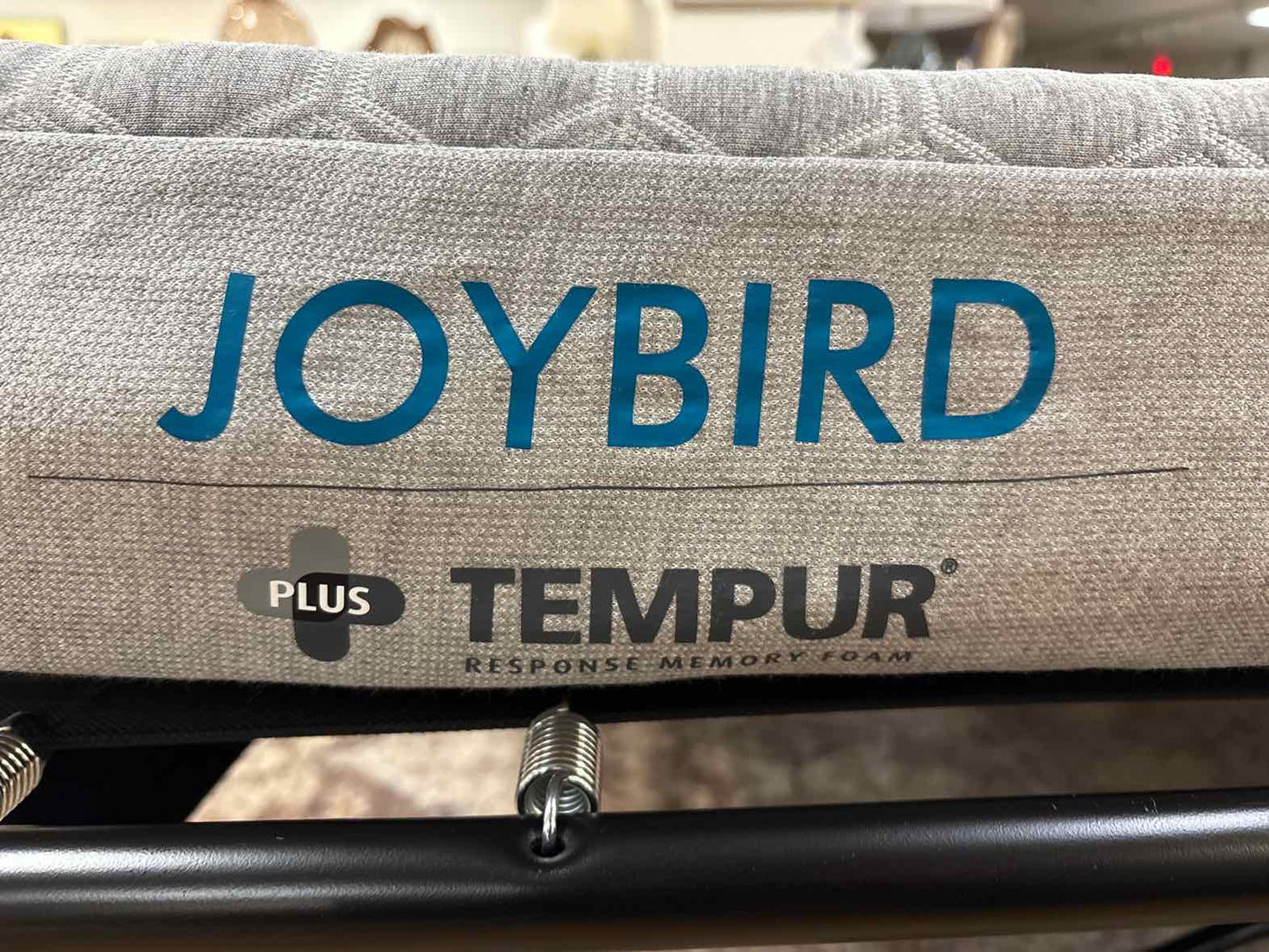 Joybird 'Briar' Queen Sleeper Sofa w/ Bolster Pillows