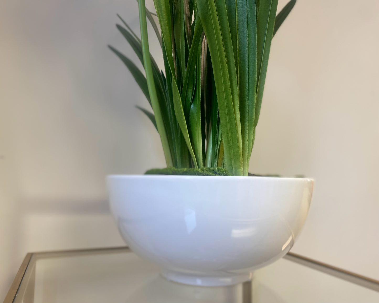 'Purity' Agapanthus Centerpiece