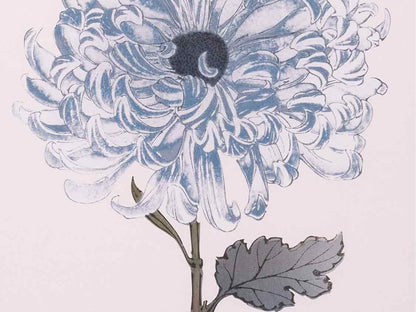 Framed Giclee 'Asian Blue & White Flowers III'