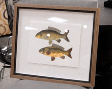 The Catch Framed Print II