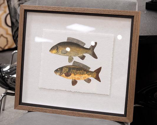 The Catch Framed Print II