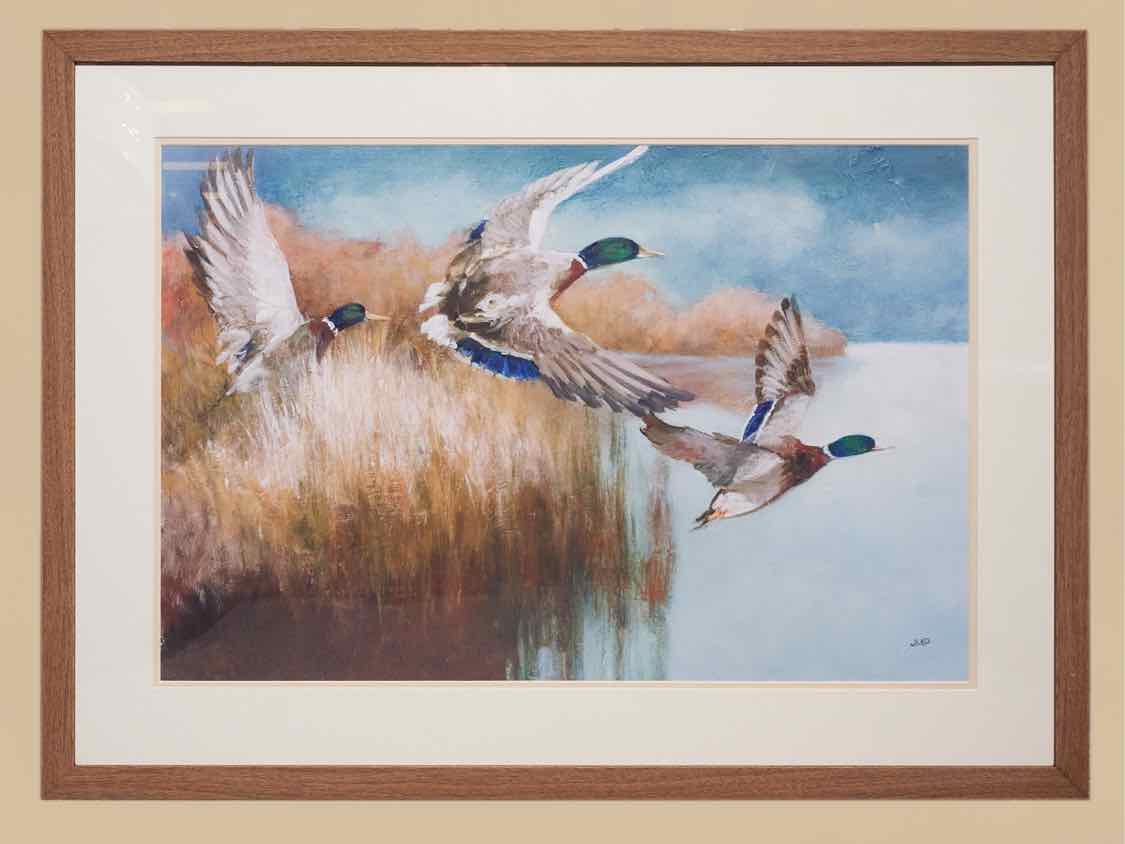 Framed Giclee 'Wild Wings'