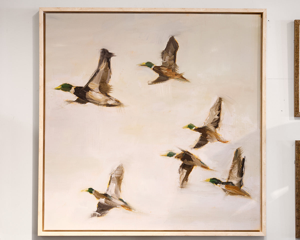 Mallard Migration II
