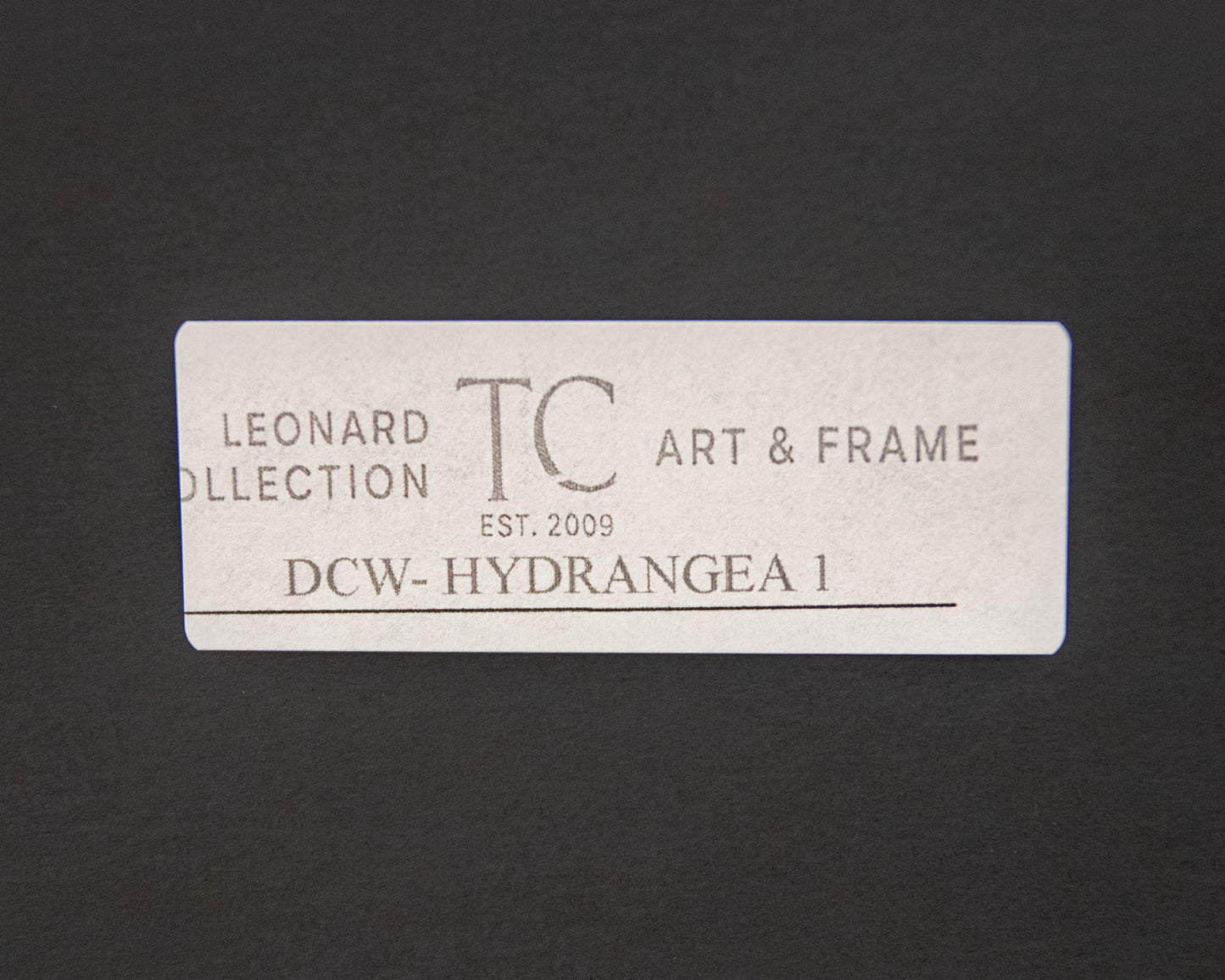 'Hydrangea 1' Framed Print