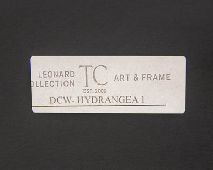 'Hydrangea 1' Framed Print