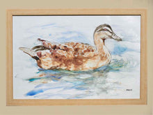 Framed Print:  "Water Duck II"