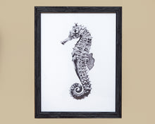 Under The Sea 'Seahorse' Framed Print