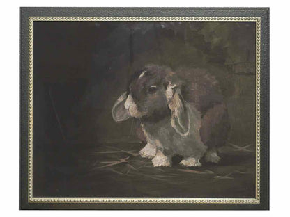 Framed Print; Resting Bunny; 3/4
