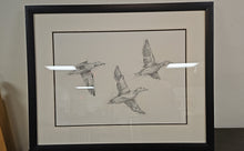 'Mallard Duck Sketch II' Flock of Ducks Wall Decor in Espresso Frame