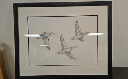 'Mallard Duck Sketch II' Flock of Ducks Wall Decor in Espresso Frame