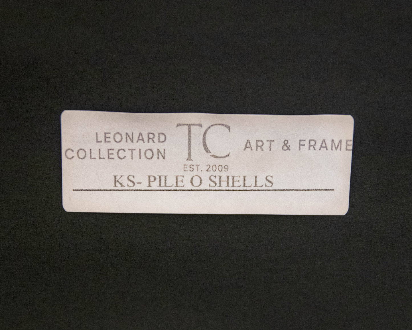 'Pile O Shells' Framed Print