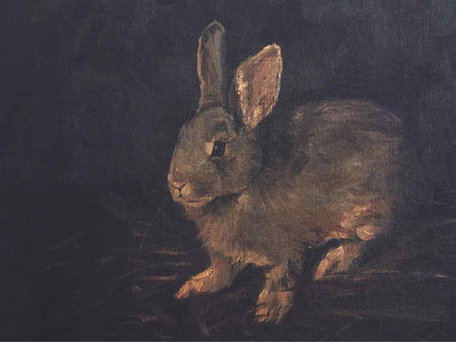 Framed Print; Resting Bunny; 1/4