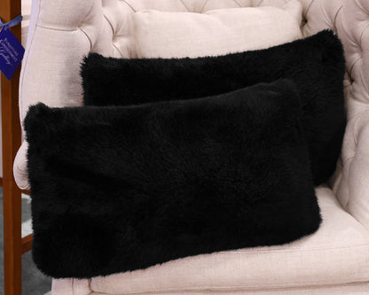 Restoration Hardware Accent Pillows