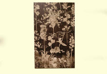 " Midnight Garden I" Wall Decor