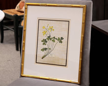 Antique Botanica II 4/4