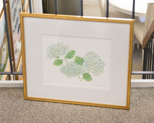 'Hydrangea 2' Framed Print