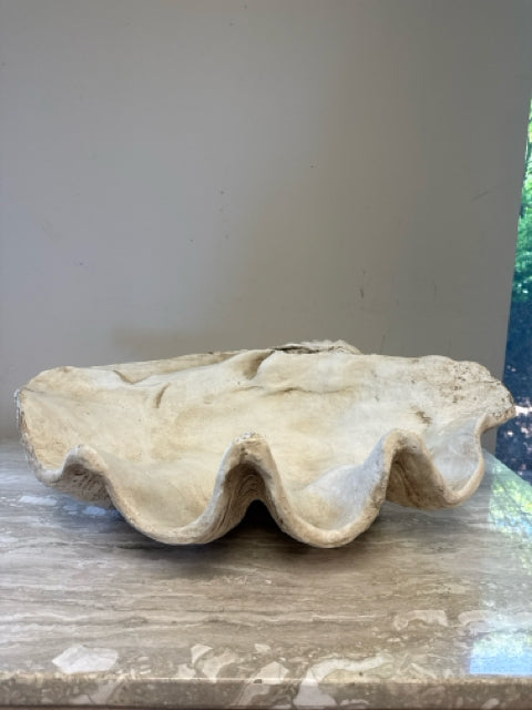 Giant Resin Clam Shell Decor