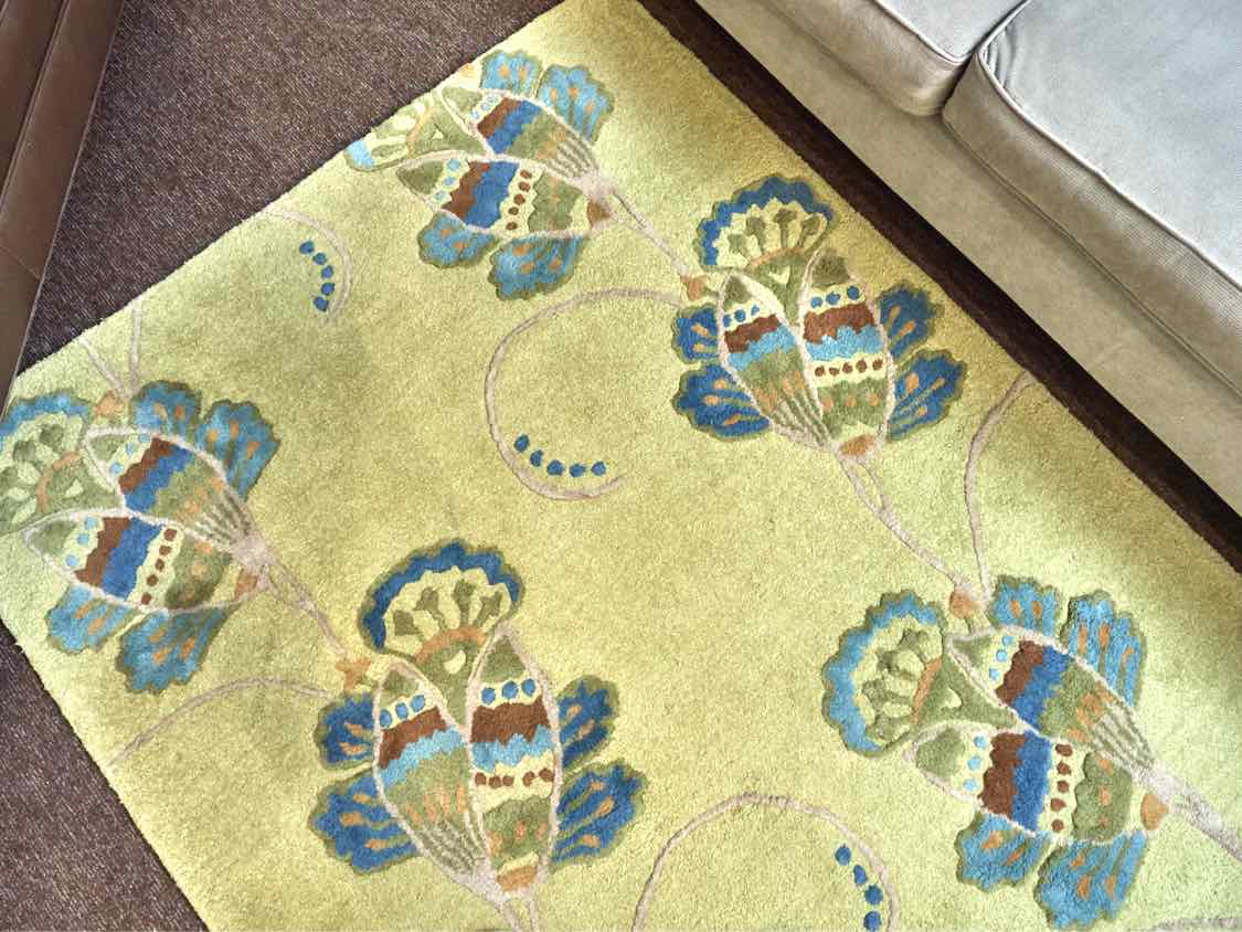 Company C   'Trumpet Vine Willow' 100%  Wool Pile Area Rug