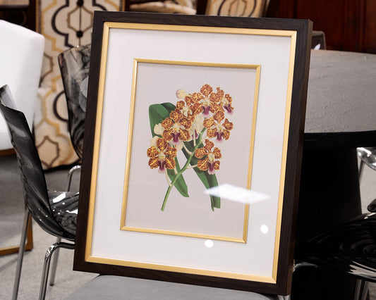 Orchid Botanical Framed Print III