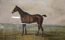 'Equestrian II B' Horse Illustration with Landscape