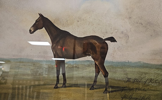 'Equestrian II B' Horse Illustration with Landscape