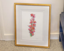 'Lily Botanical' Framed Print