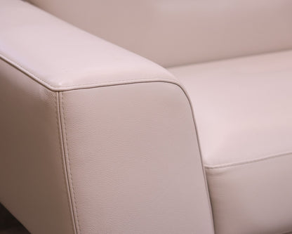 Roche Bobois Leather Sofa