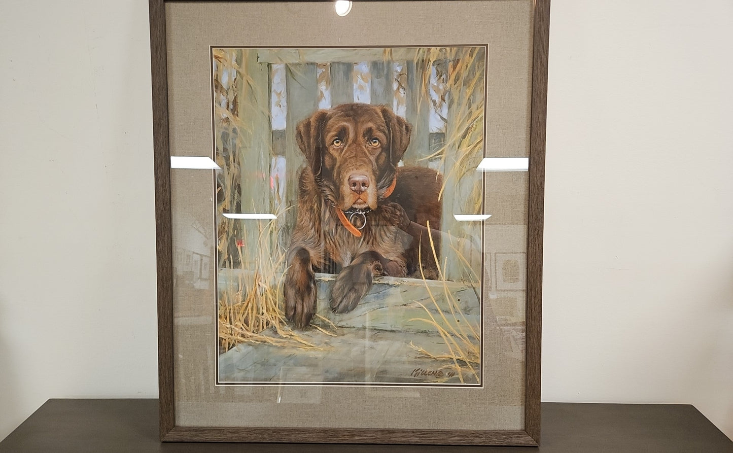 'Bud' Chocolate Lab with Dark Wood Frame